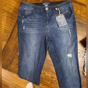 Democracy curve capri